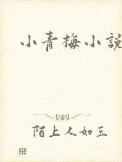 小青梅小说