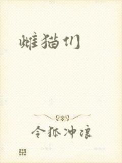 雌猫们