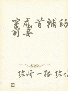 穿成首辅的炮灰前妻