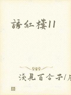 诱红楼11