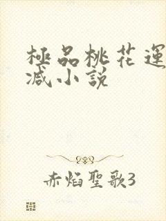 极品桃花运未删减小说