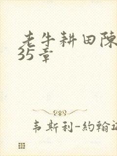 老牛耕田陈雪435章