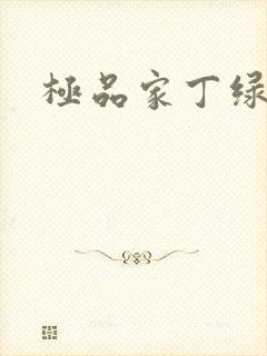 极品家丁绿帽