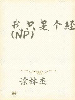 我只是个经纪人(NP)