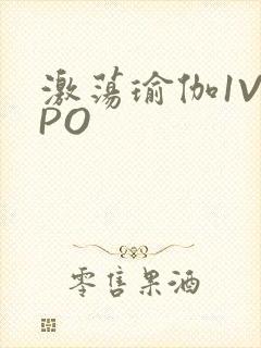 激荡瑜伽1V2PO