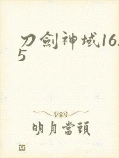 刀剑神域16.5