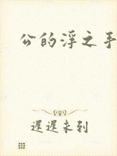 公的浮之手中字