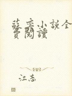 苏奕小说全文免费阅读