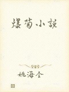爆菊小说