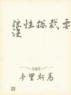 狼性总裁要够了没