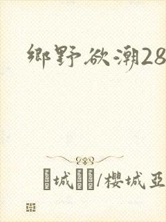 乡野欲潮28章