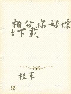 相公你好坏txt下载