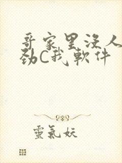 哥家里没人使点劲C我软件