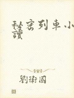 秘密列车小说阅读