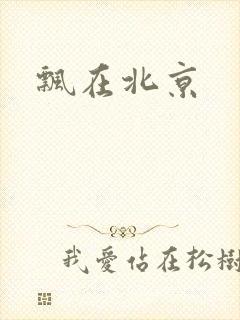 飘在北京