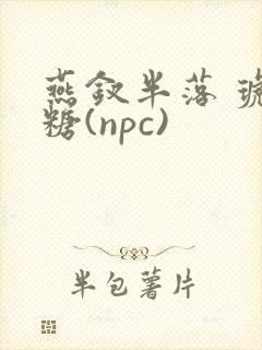 燕钗半落 琥珀糖(npc)