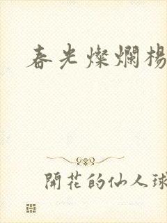 春光灿烂杨家将