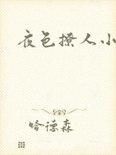 夜色撩人小说