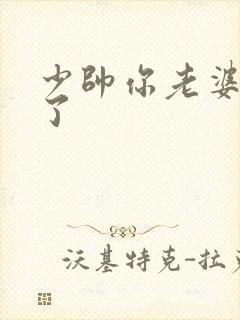 少帅你老婆又跑了