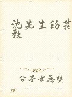 沈先生的花式调教