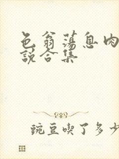 色翁荡息肉欲小说合集