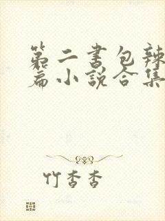 第二书包辣网短篇小说合集