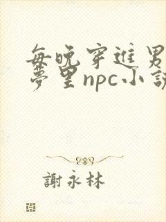 每晚穿进男神的梦里npc小说