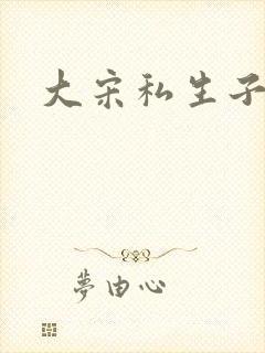大宋私生子