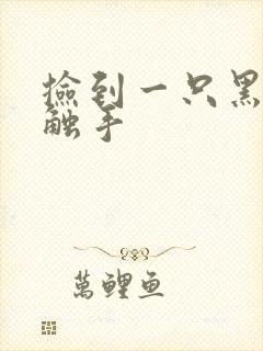 捡到一只黑心小触手