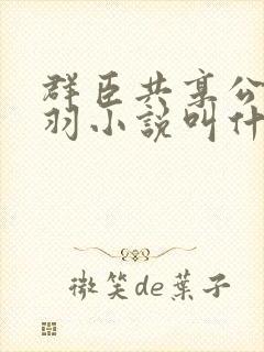 群臣共享公主银羽小说叫什么