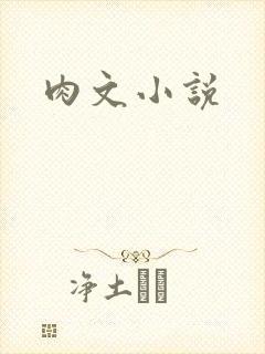 肉文小说
