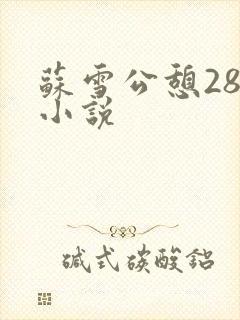 苏雪公憩28篇小说