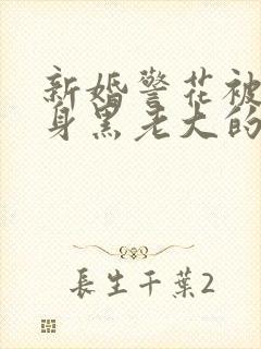 新婚警花被迫献身黑老大的小说