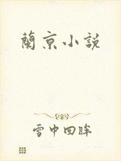 兰京小说