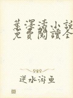 叶泽涛小说全文免费阅读全文