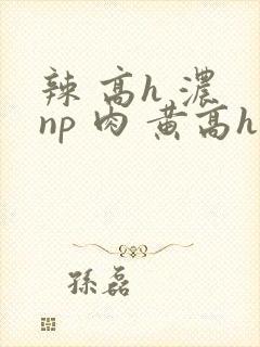 辣 高h 浓 np 肉 黄高h