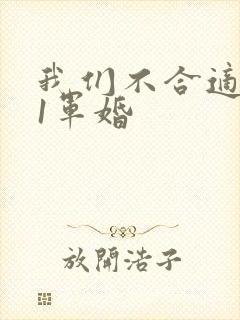 我们不合适1v1军婚