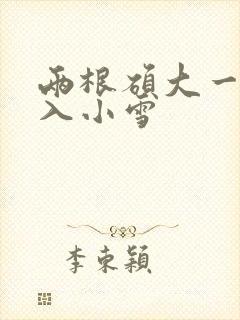 两根硕大一起挤入小雪