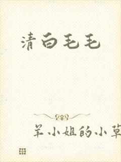清白毛毛