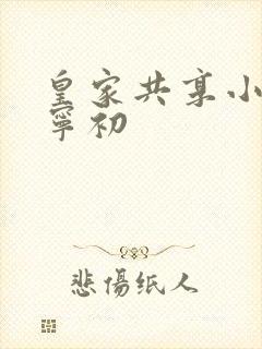 皇家共享小公主宁初