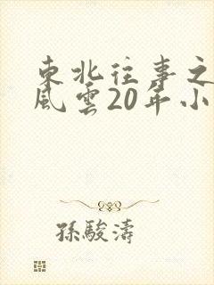 东北往事之黑道风云20年小说