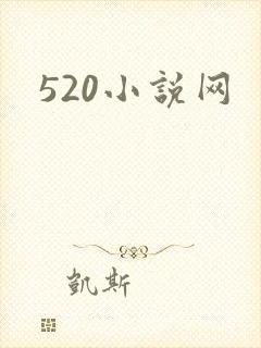 520小说网