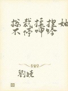 总裁揉捏她两乳不停呻吟