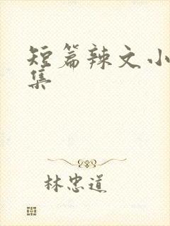 短篇辣文小说合集