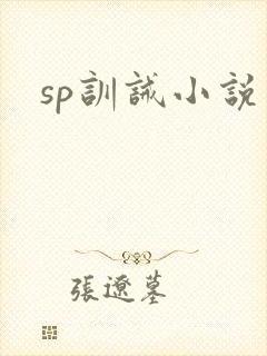 sp训诫小说