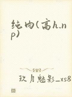 纯肉(高h.np)