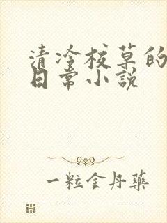 清冷校草的堕落日常小说