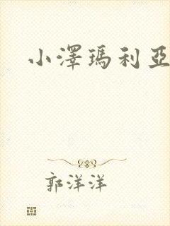 小泽玛利亚作品