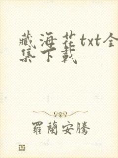 藏海花txt全集下载