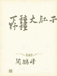 下种大肚子怀孕野种